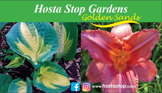 Hosta Stop Gardens